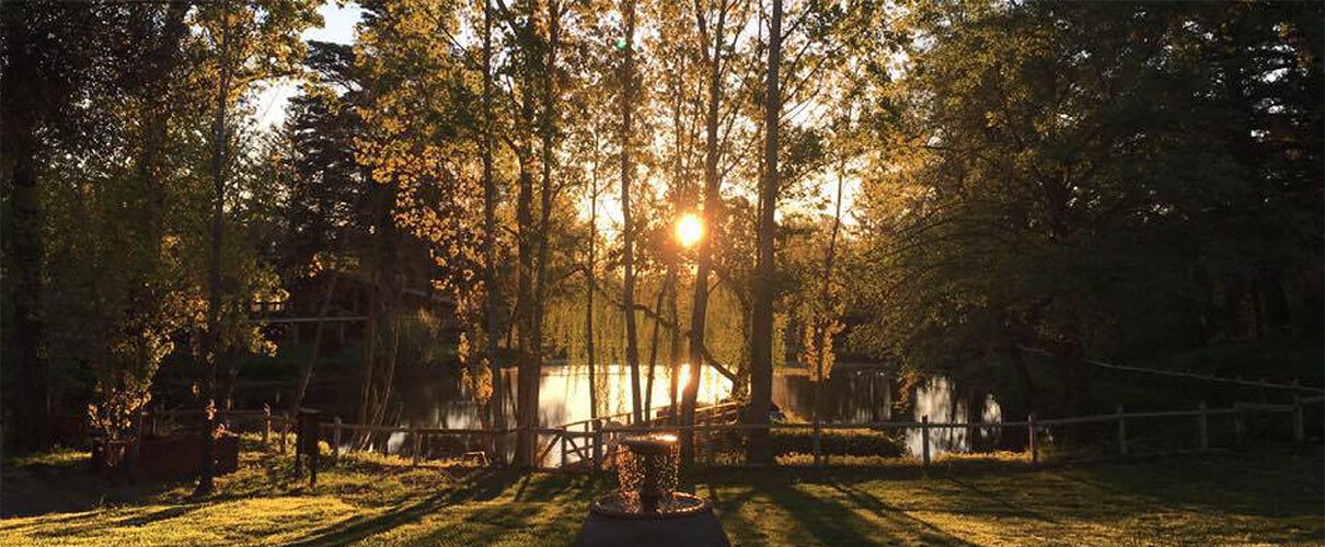 Sunlight filtering through trees by the serene lake, casting shadows on the fountain lawn.