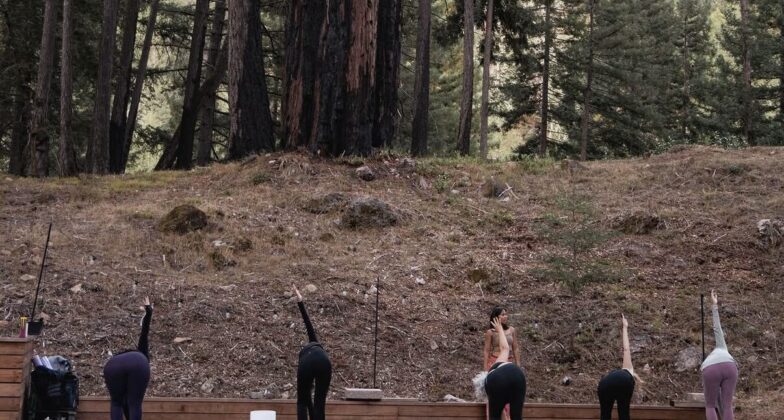 Yoga Session in Redwood Grove.