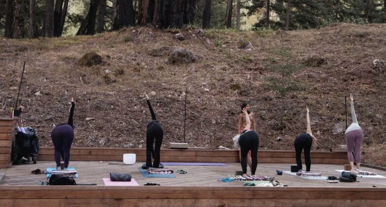 Yoga Session in Redwood Grove.