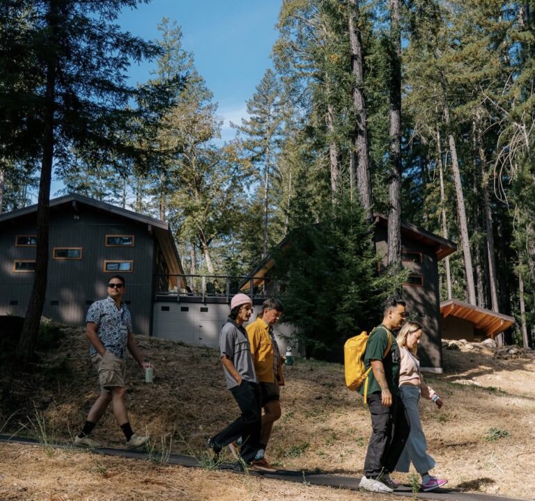 People walking the pathway down to Redwood Grove.